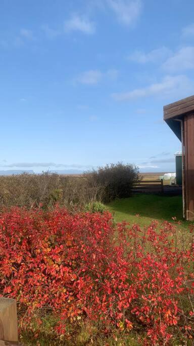 Fossar Villa Kirkjubæjarklaustur Exterior foto